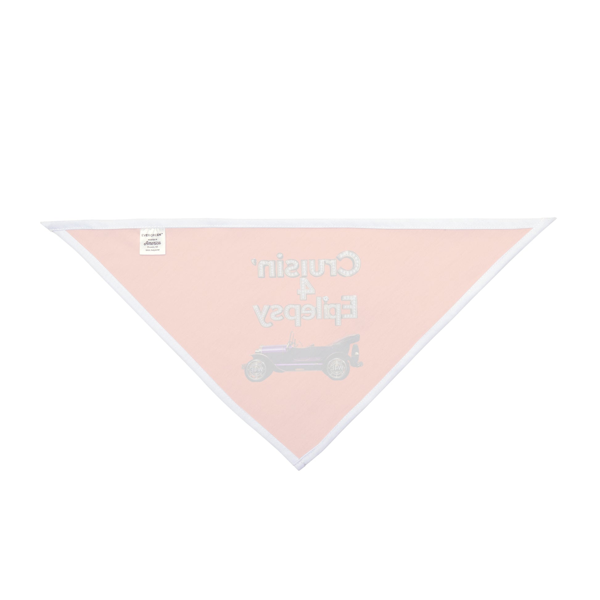 Cruisin' for Epilepsy Pet Bandana, Orange