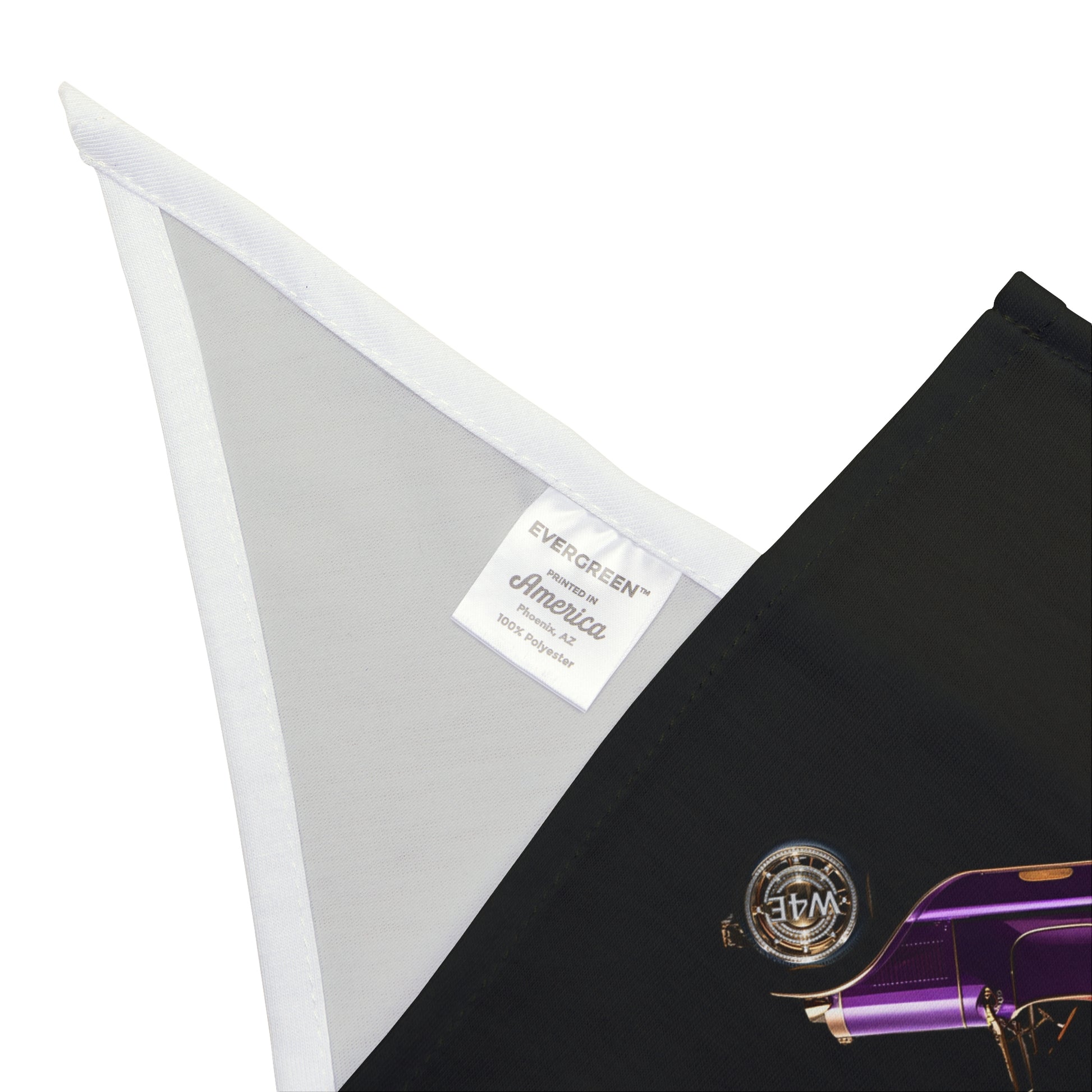 Bling Cruisin' 4 Epilepsy Pet Bandana, Black