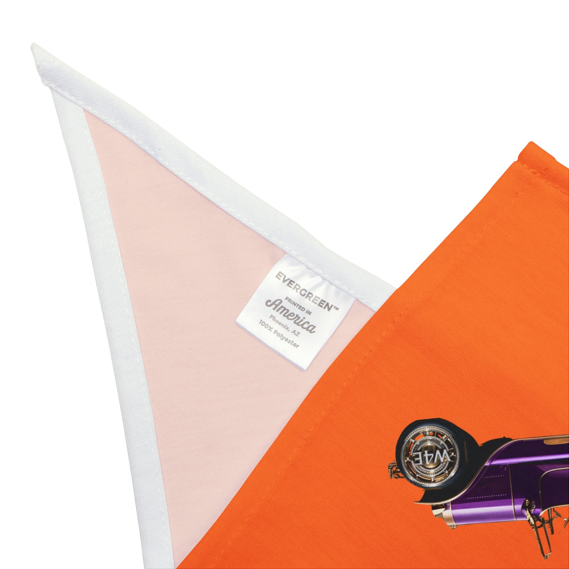 Cruisin' for Epilepsy Pet Bandana, Orange