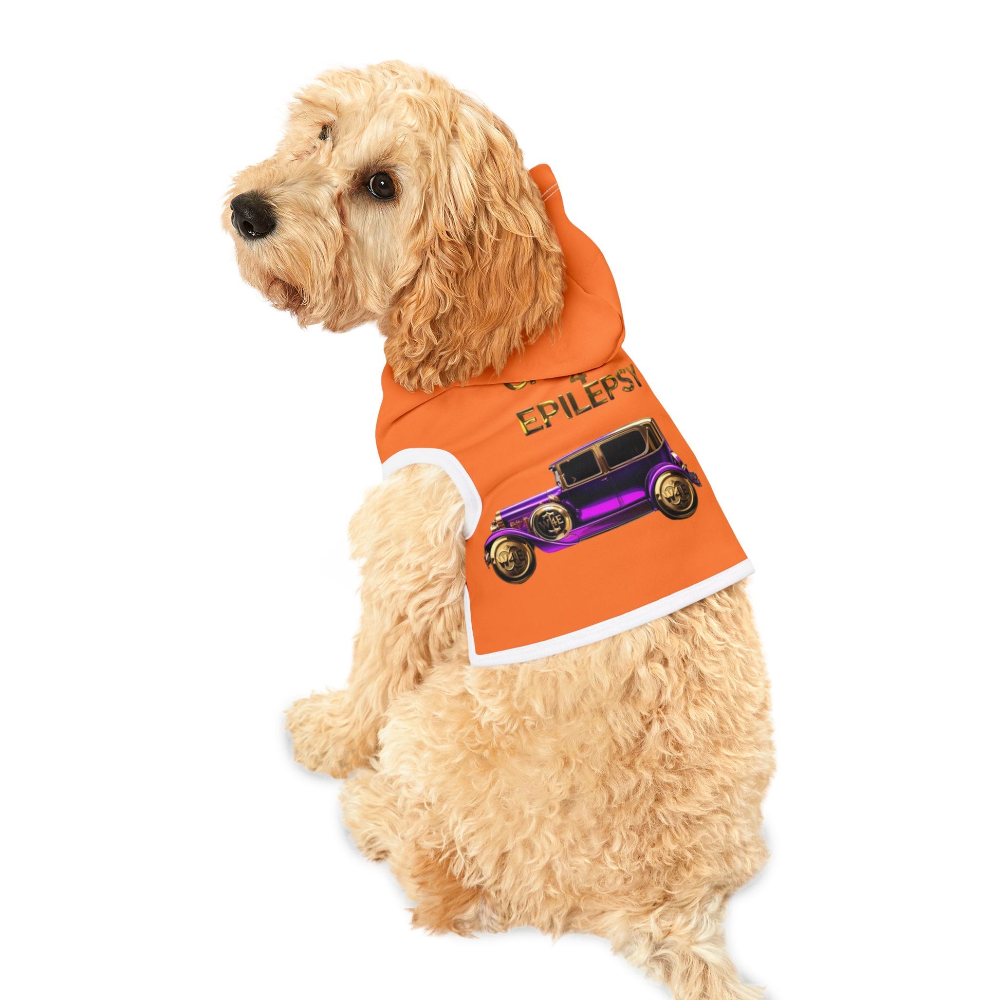 Cruisin’ 4 Epilepsy Purple Vintage Car - Orange Pet Hoodie