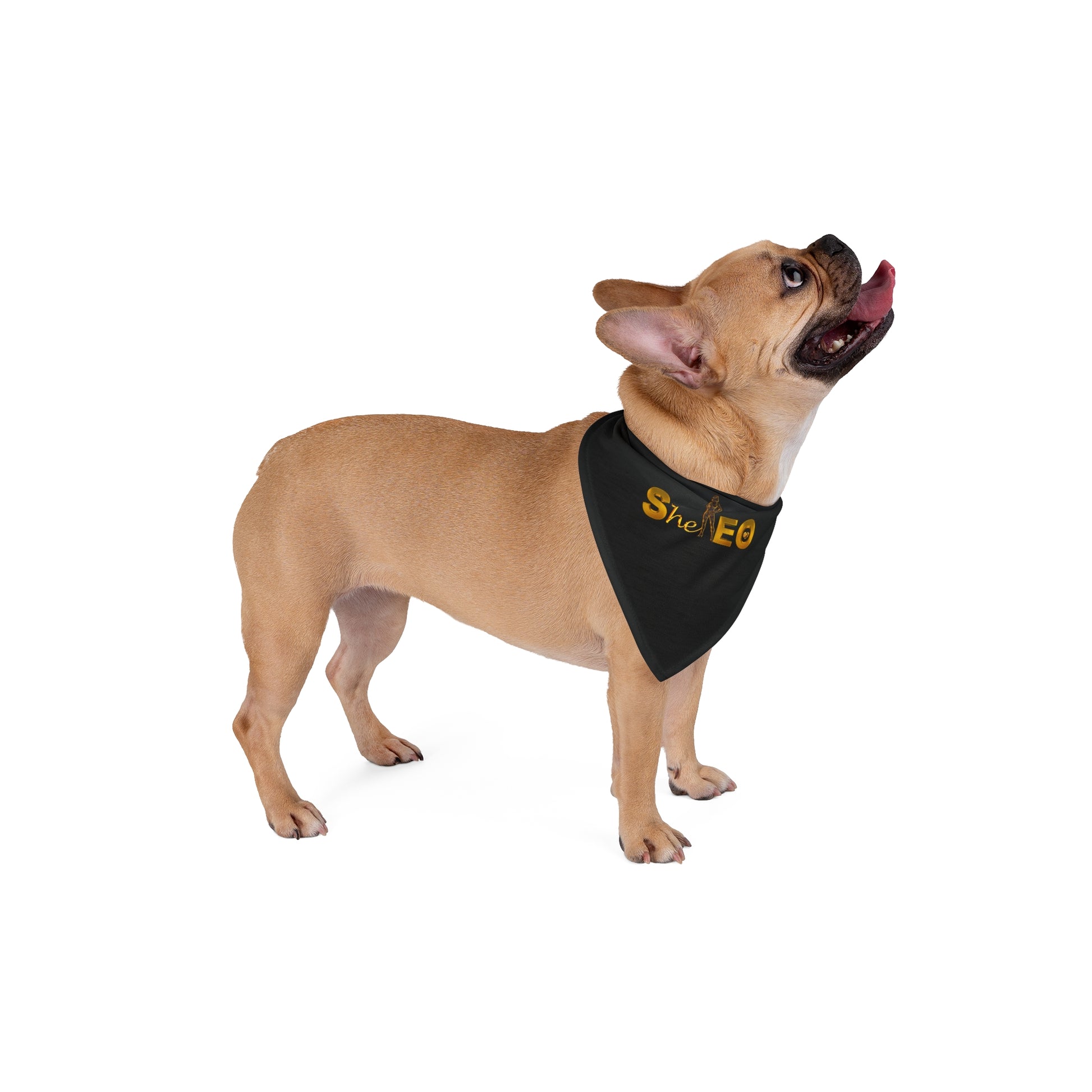 *SHE* - EO Pet Bandana, Black
