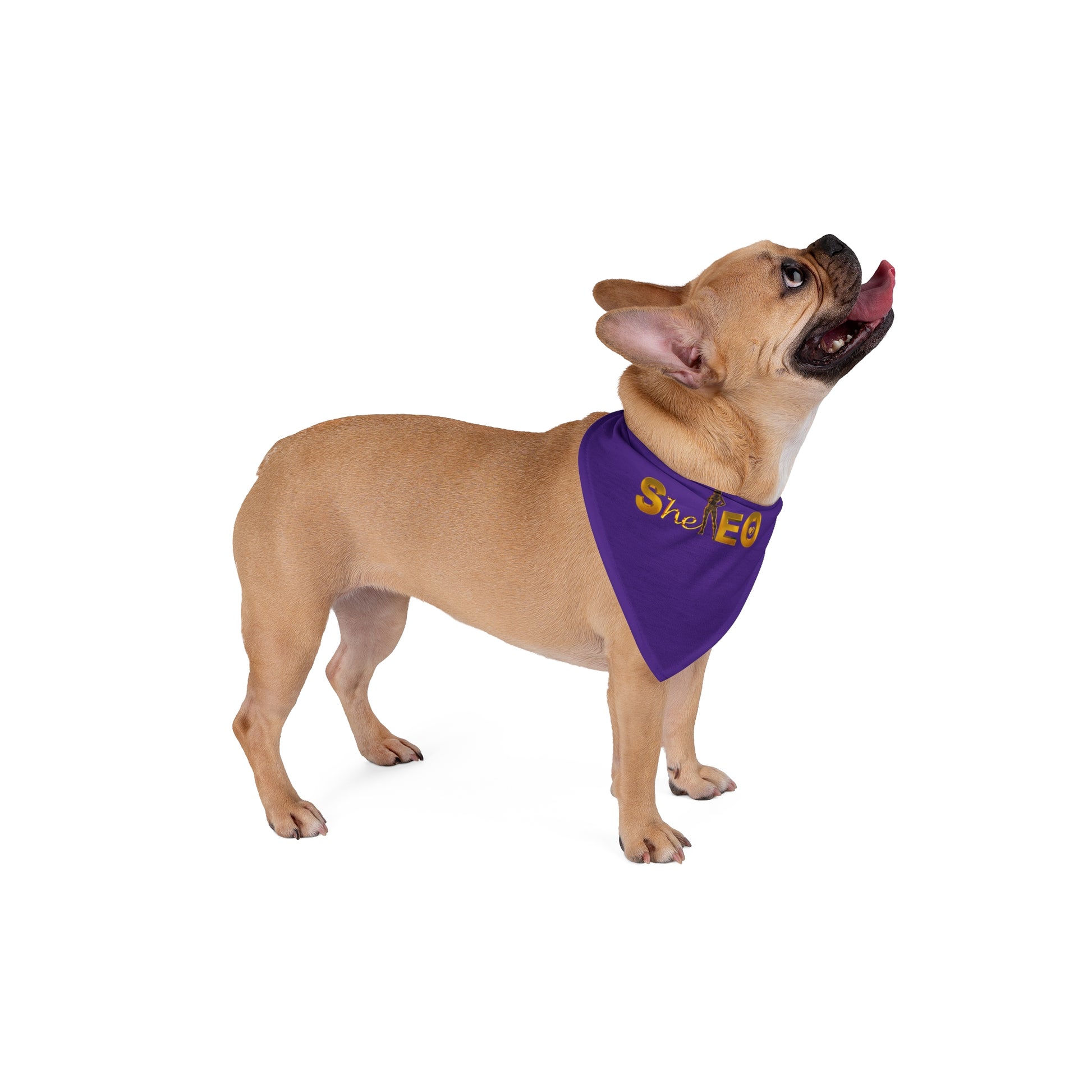 *SHE* - EO Pet Bandana, Purple