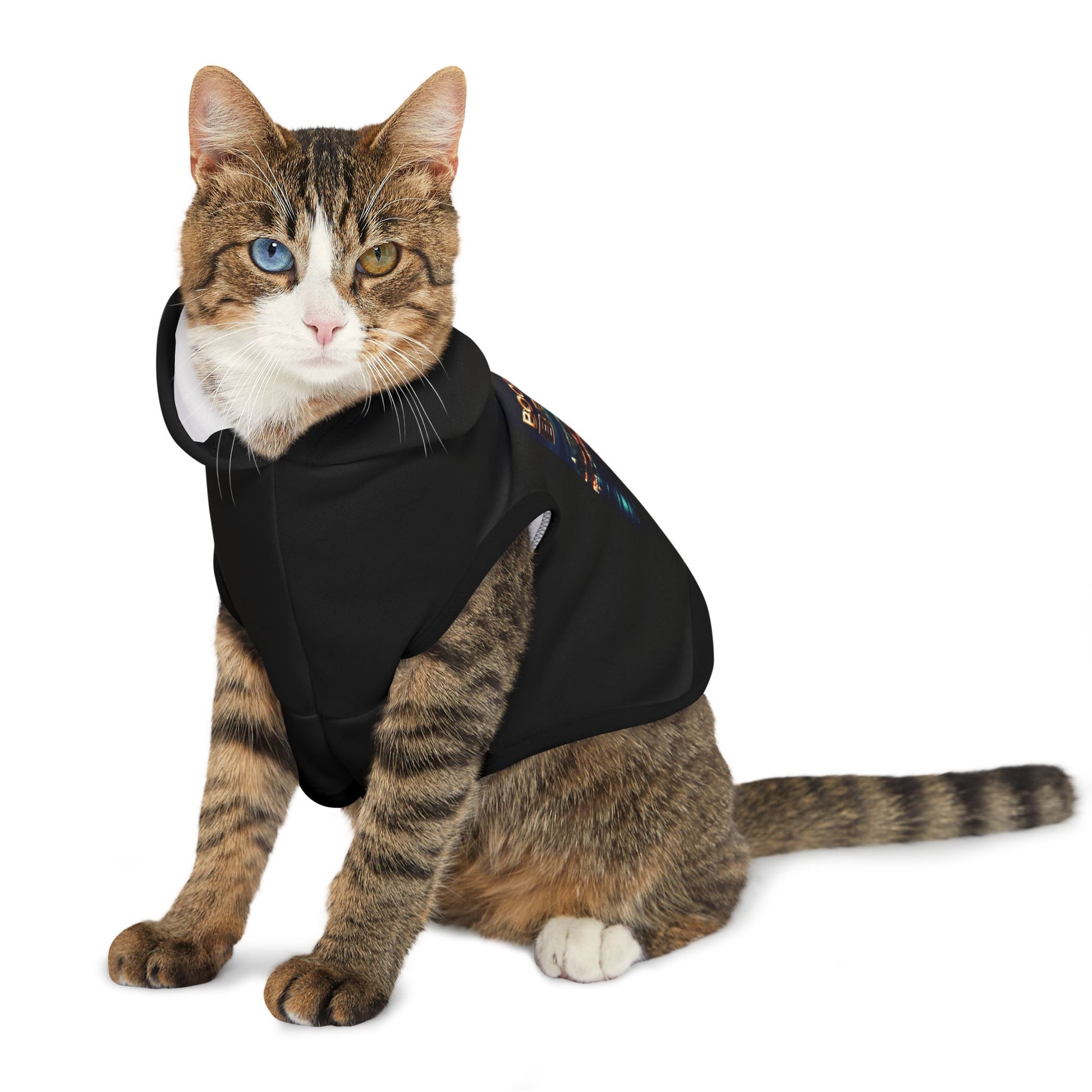 Boogie Down Bronx Cozy Pet Hoodie