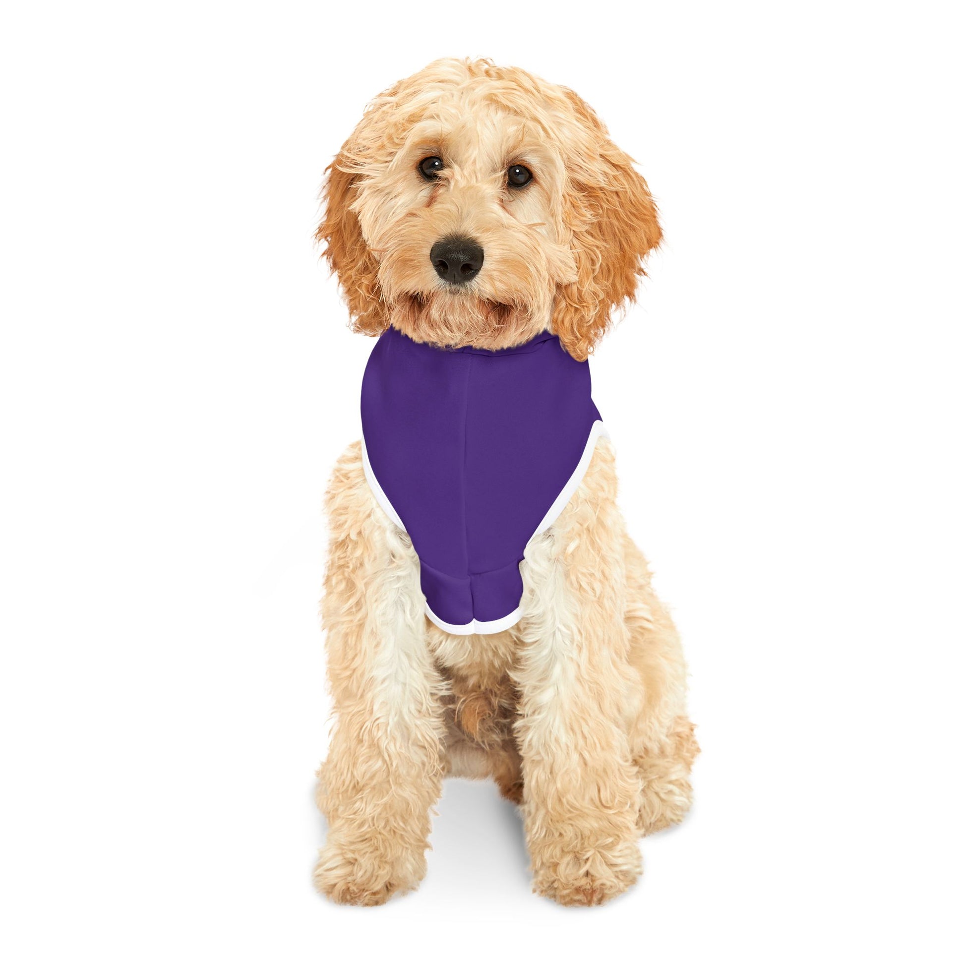 Gold Vintage Car Cruisin’ 4 Epilepsy Pet Hoodie, Purple