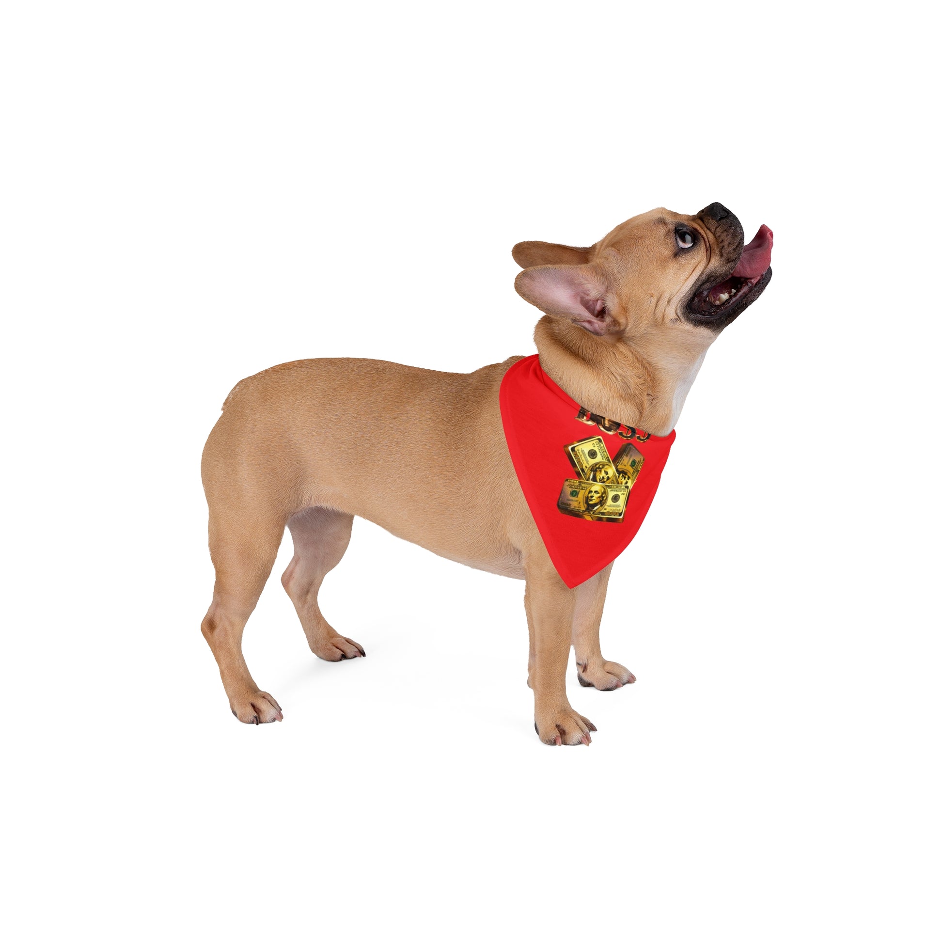 BO$$ Pet Bandana, Red