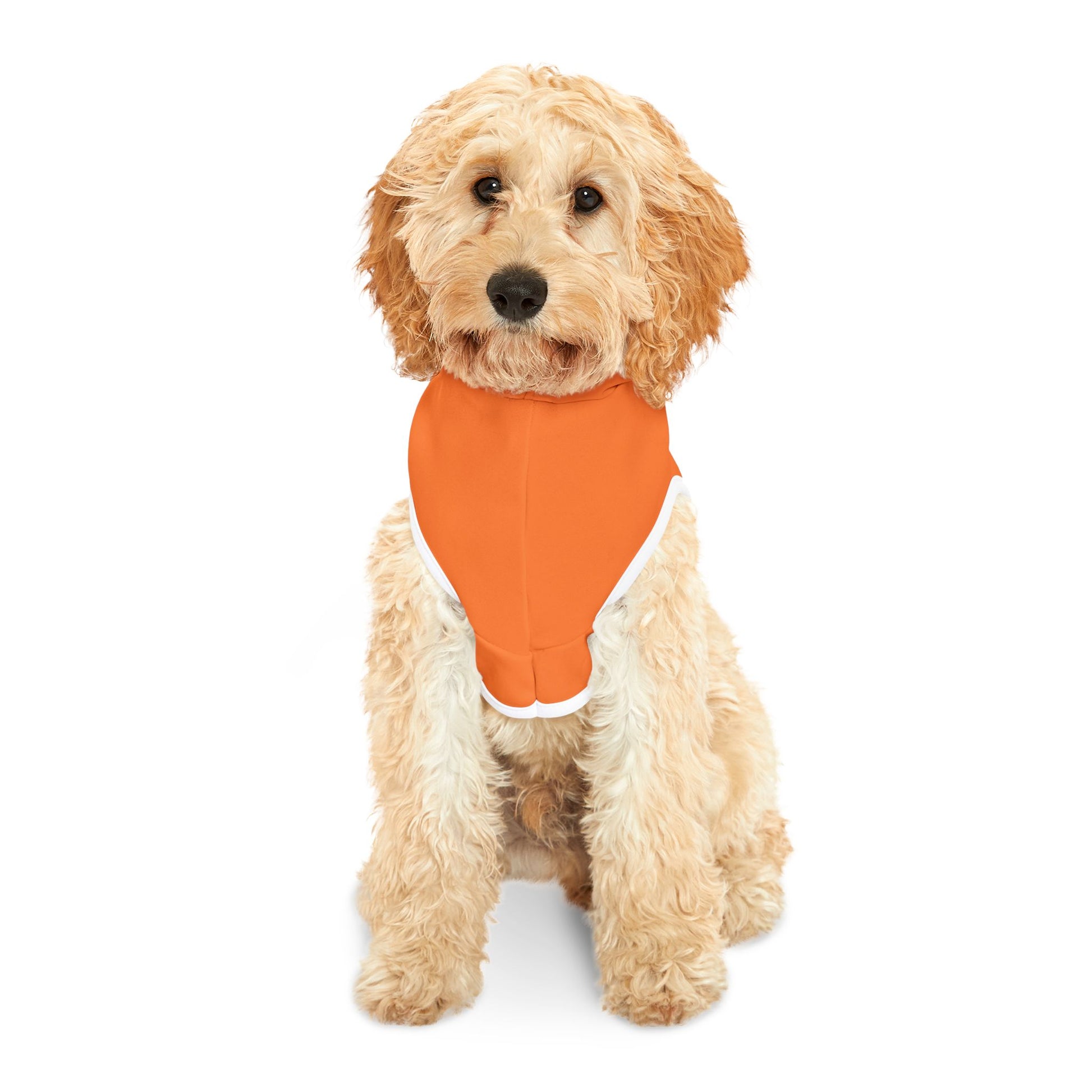 Bling Cruisin’ 4 Epilepsy Pet Hoodie, Orange