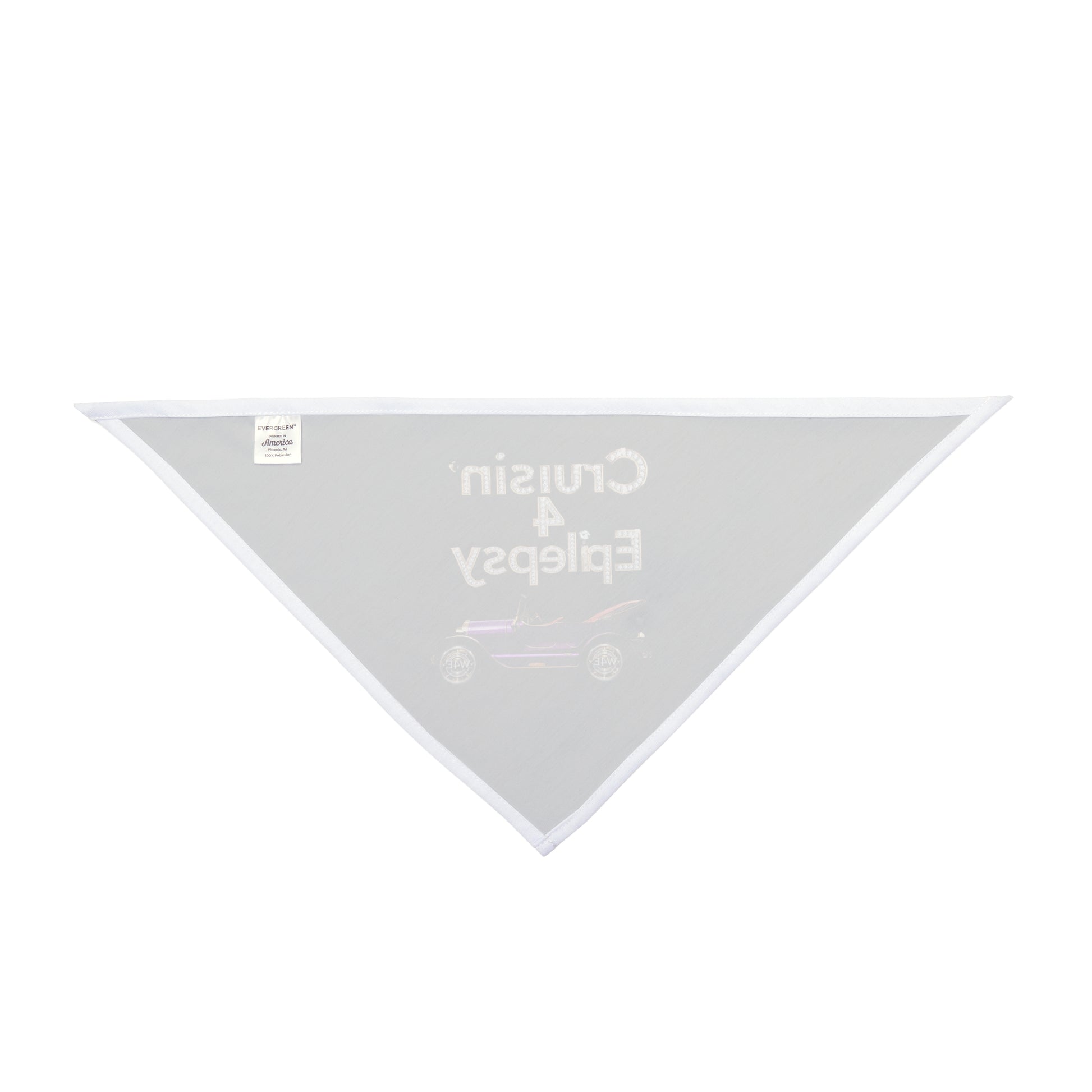 Bling Cruisin' 4 Epilepsy Pet Bandana, Black