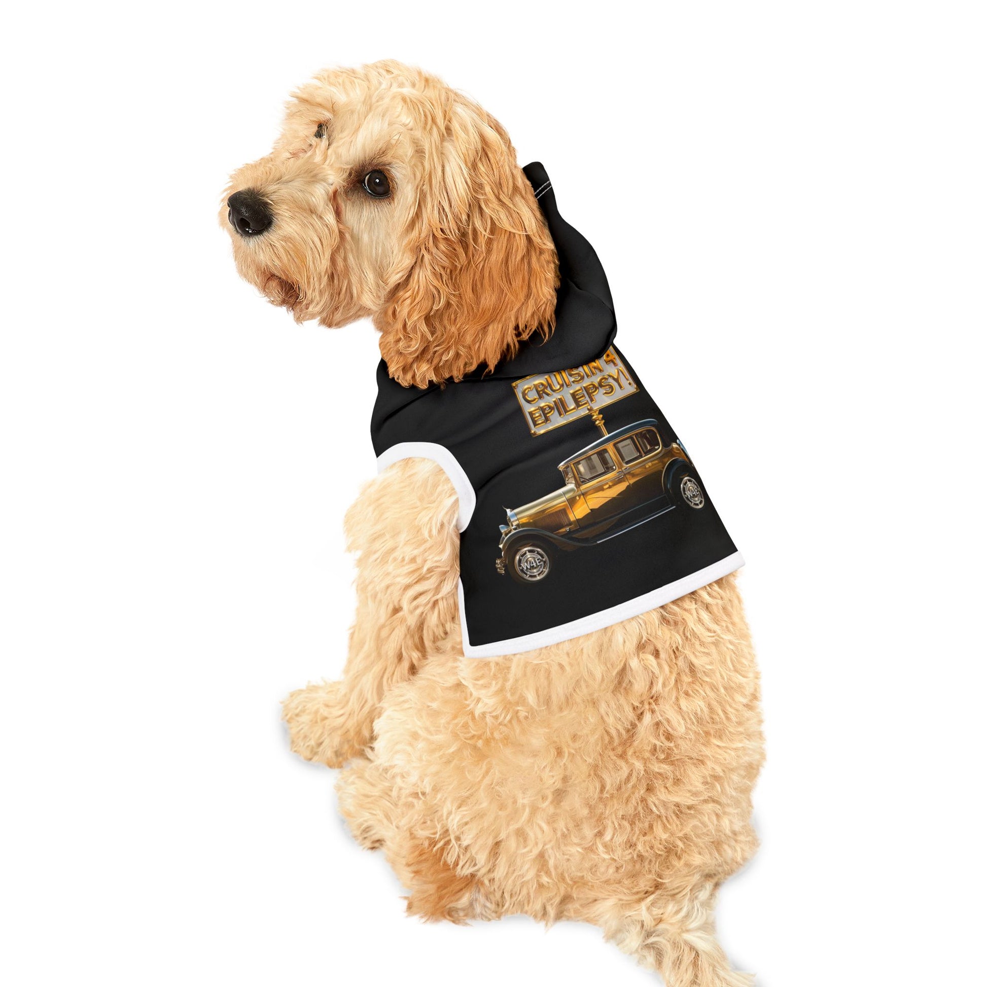 Gold Vintage Car Cruisin’ 4 Epilepsy Black Pet Hoodie