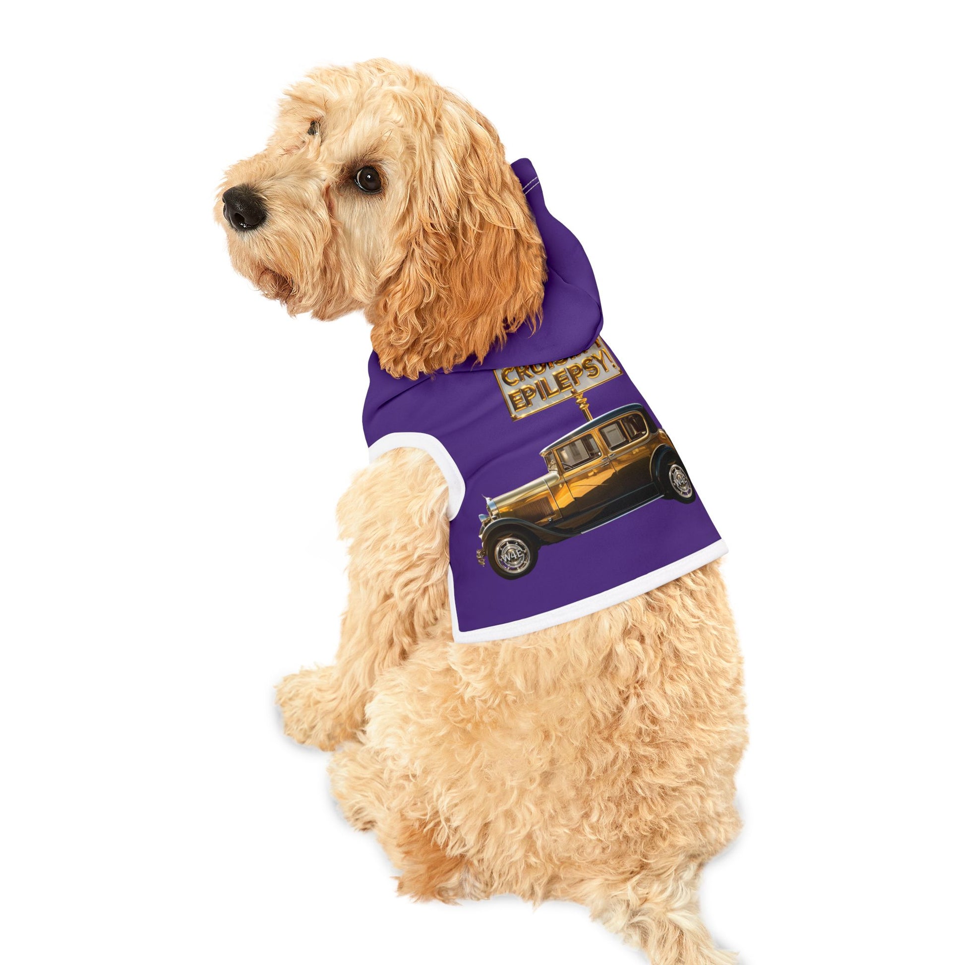 Gold Vintage Car Cruisin’ 4 Epilepsy Pet Hoodie, Purple