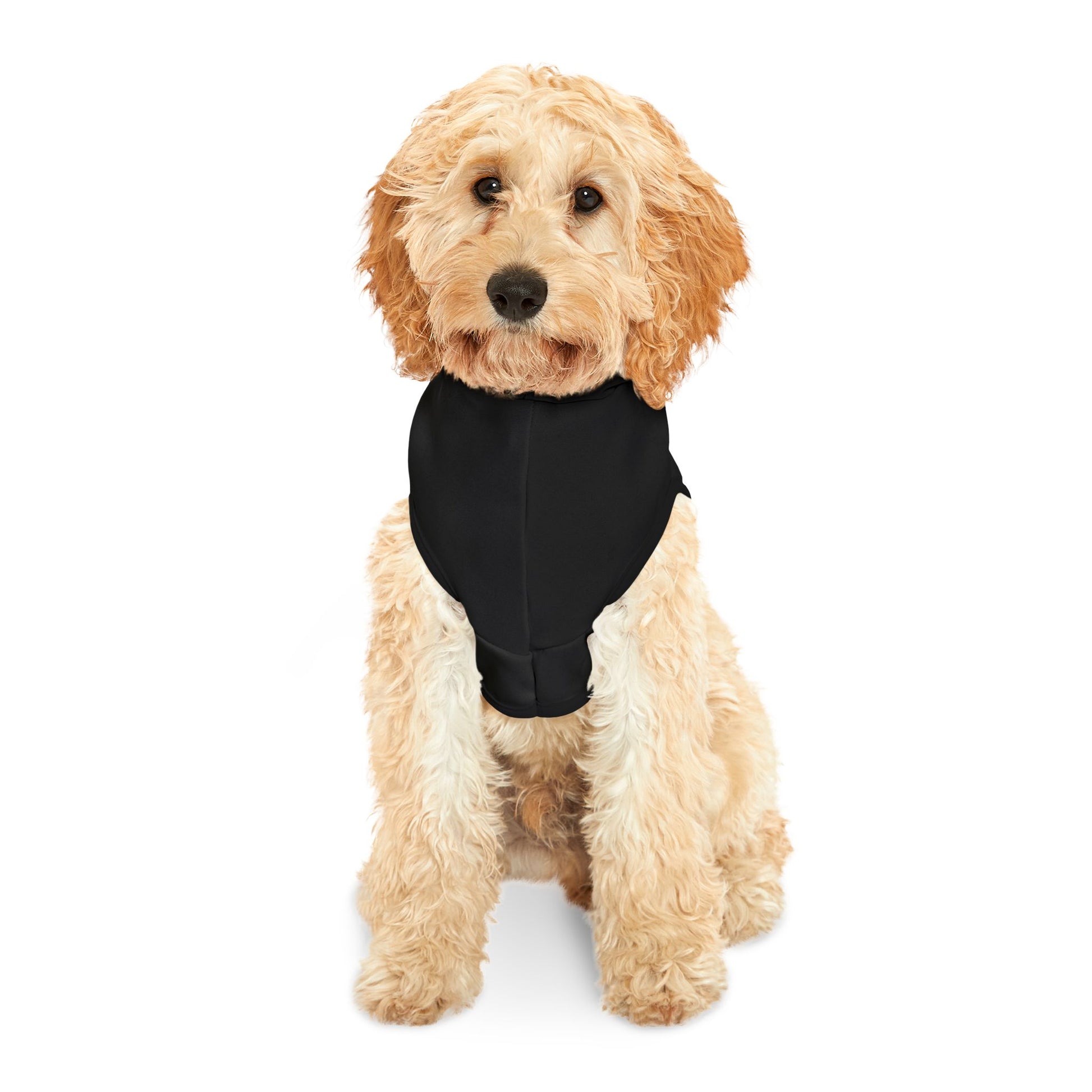 Boogie Down Bronx Cozy Pet Hoodie