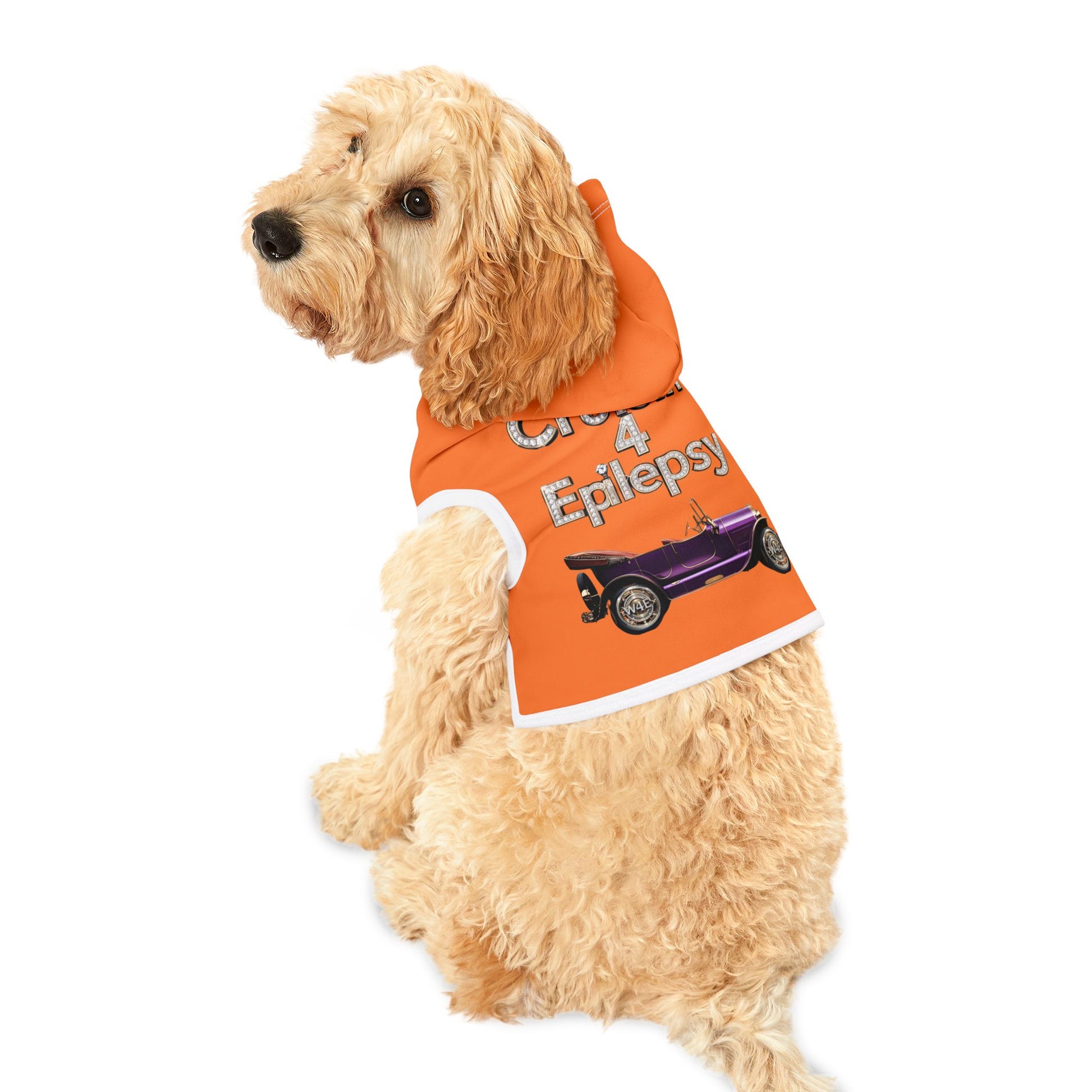 Bling Cruisin’ 4 Epilepsy Pet Hoodie, Orange