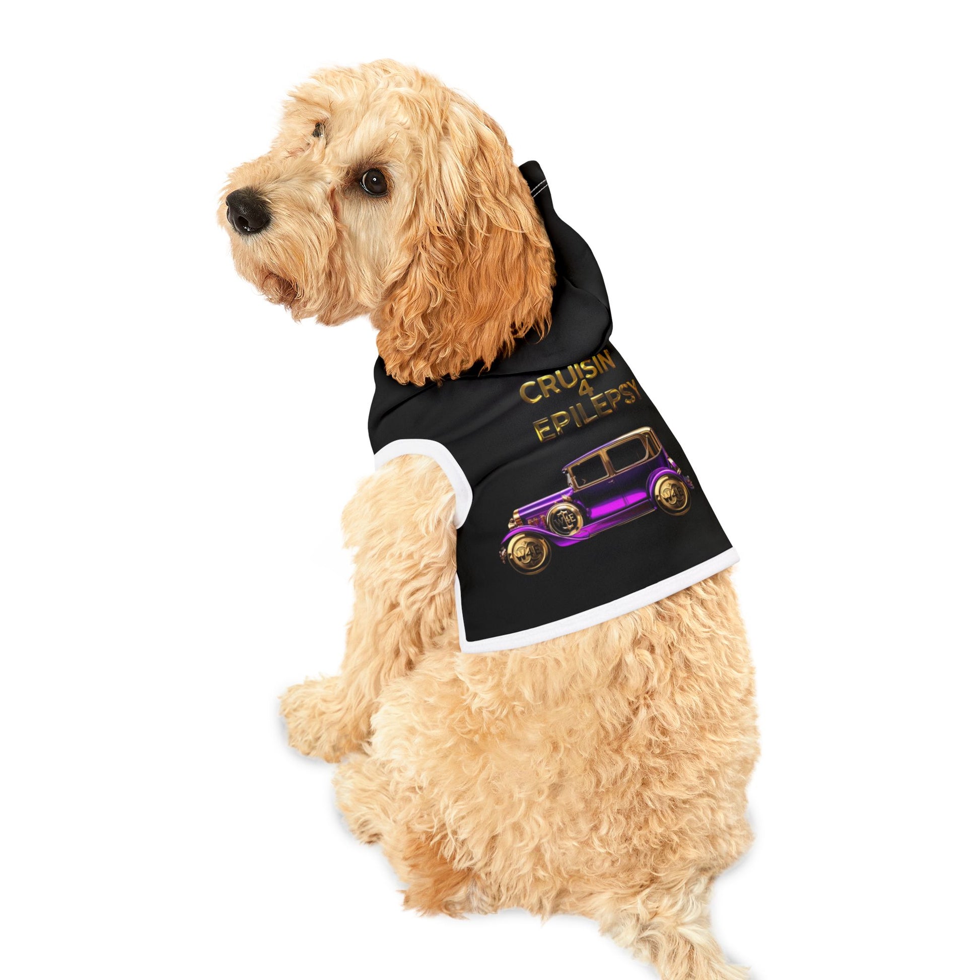 Purple Vintage Car Cruisin’ 4 Epilepsy Pet Hoodie, Black
