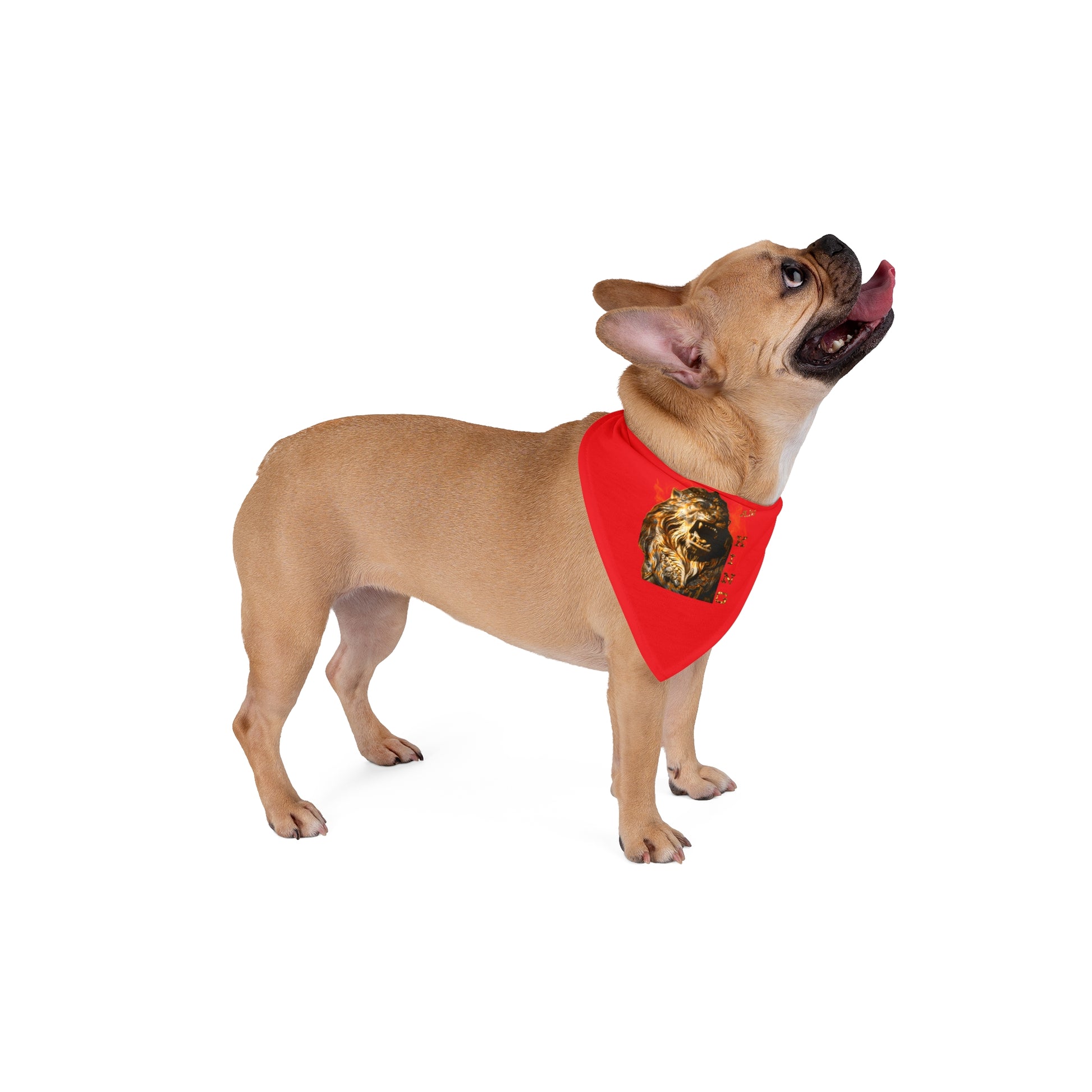 I am King Pet Bandana, Red