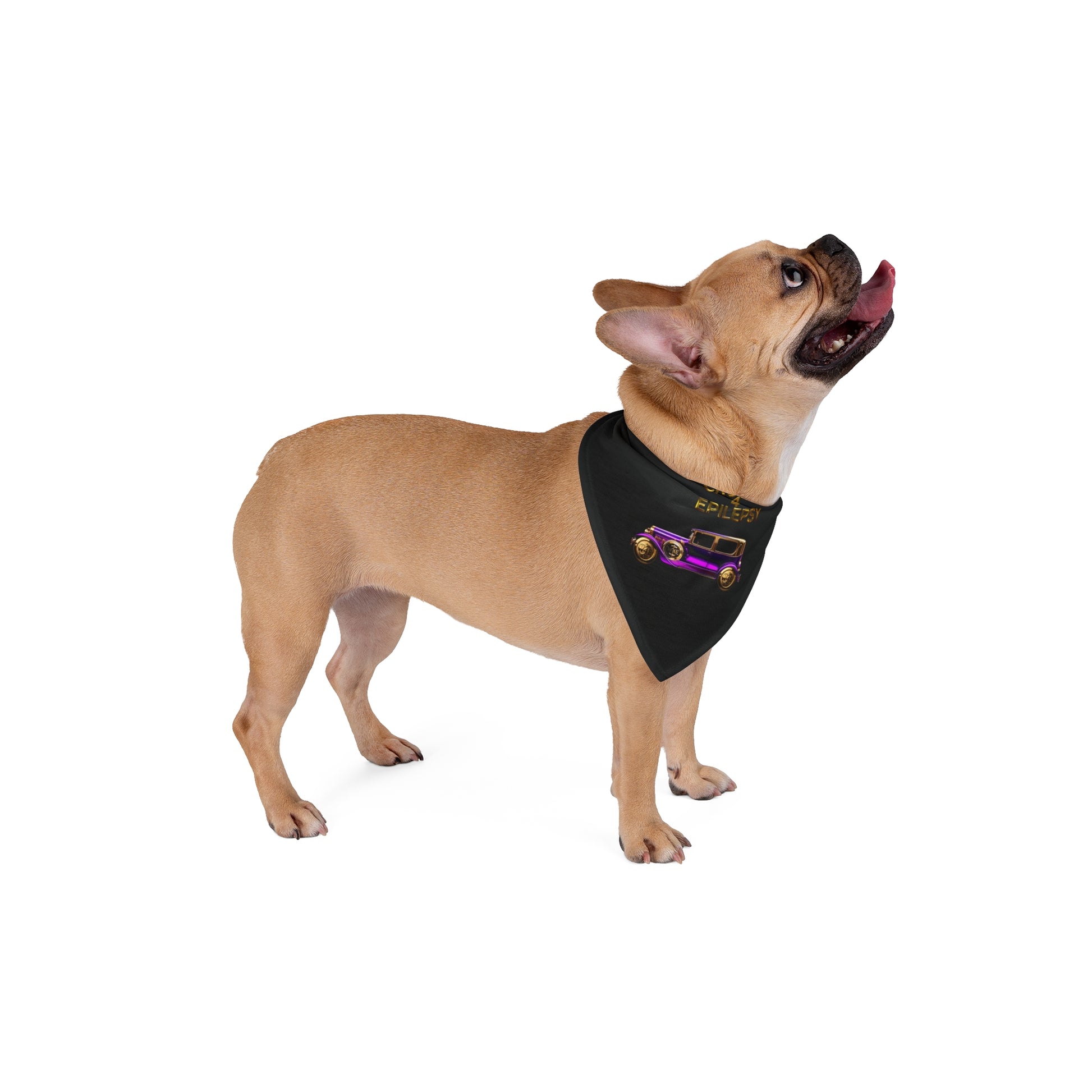 Purple Vintage Car Cruisin' 4 Epilesy Pet Bandana, Black