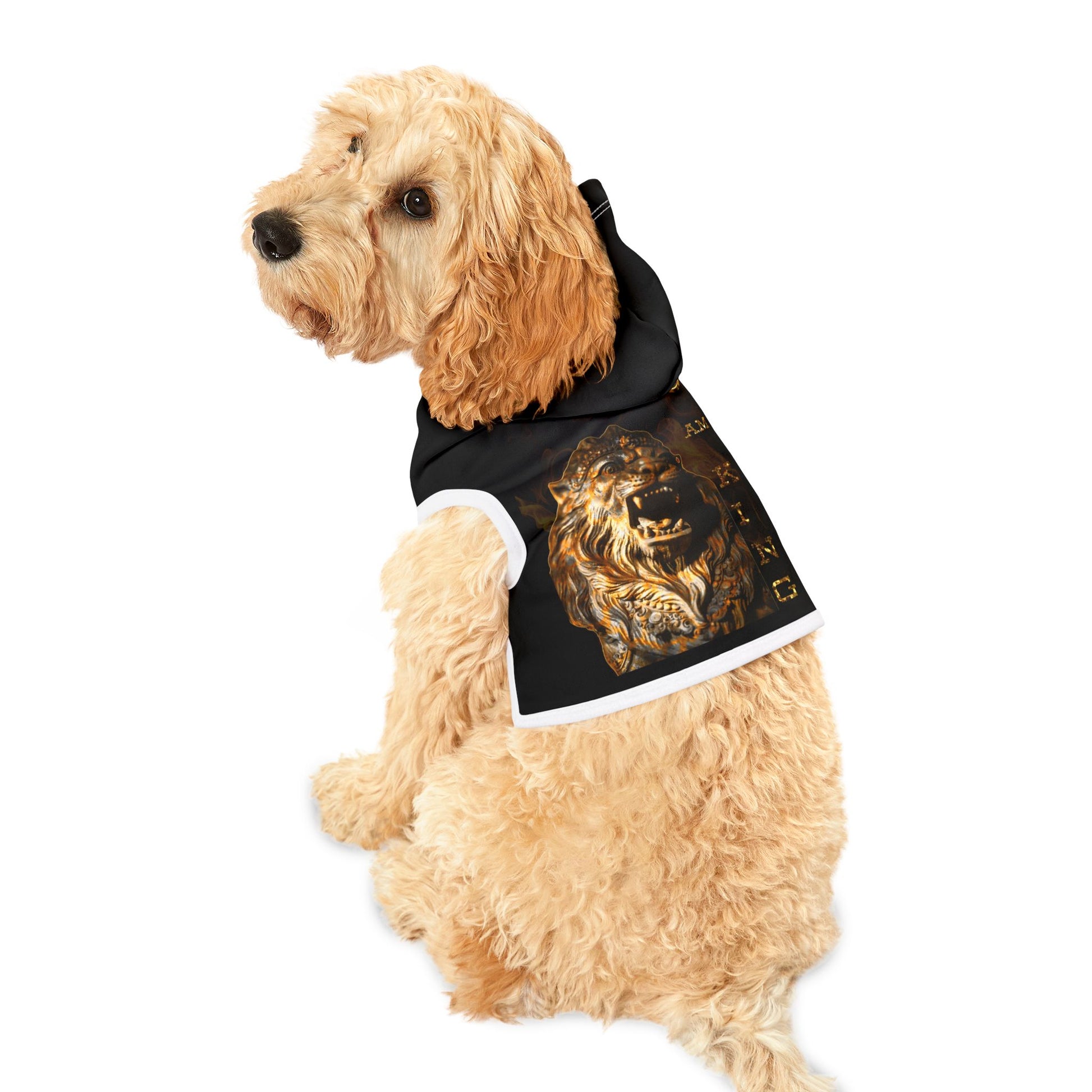 I Am King - Cozy Dog Sweatshirt, Black