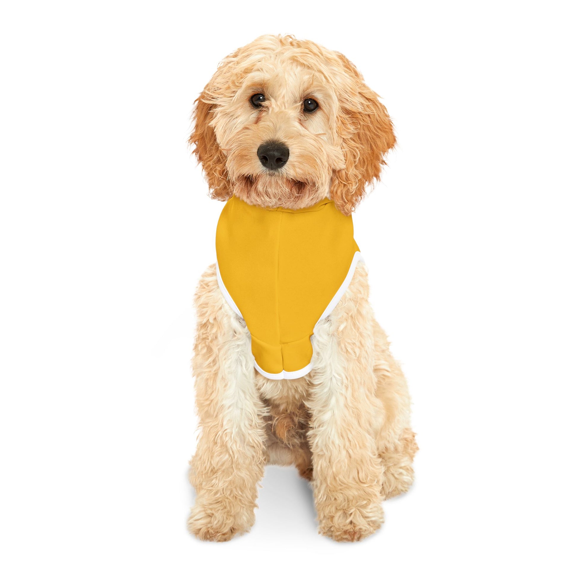 Bling Cruisin' 4 Epilepsy Pet Hoodie, Yellow