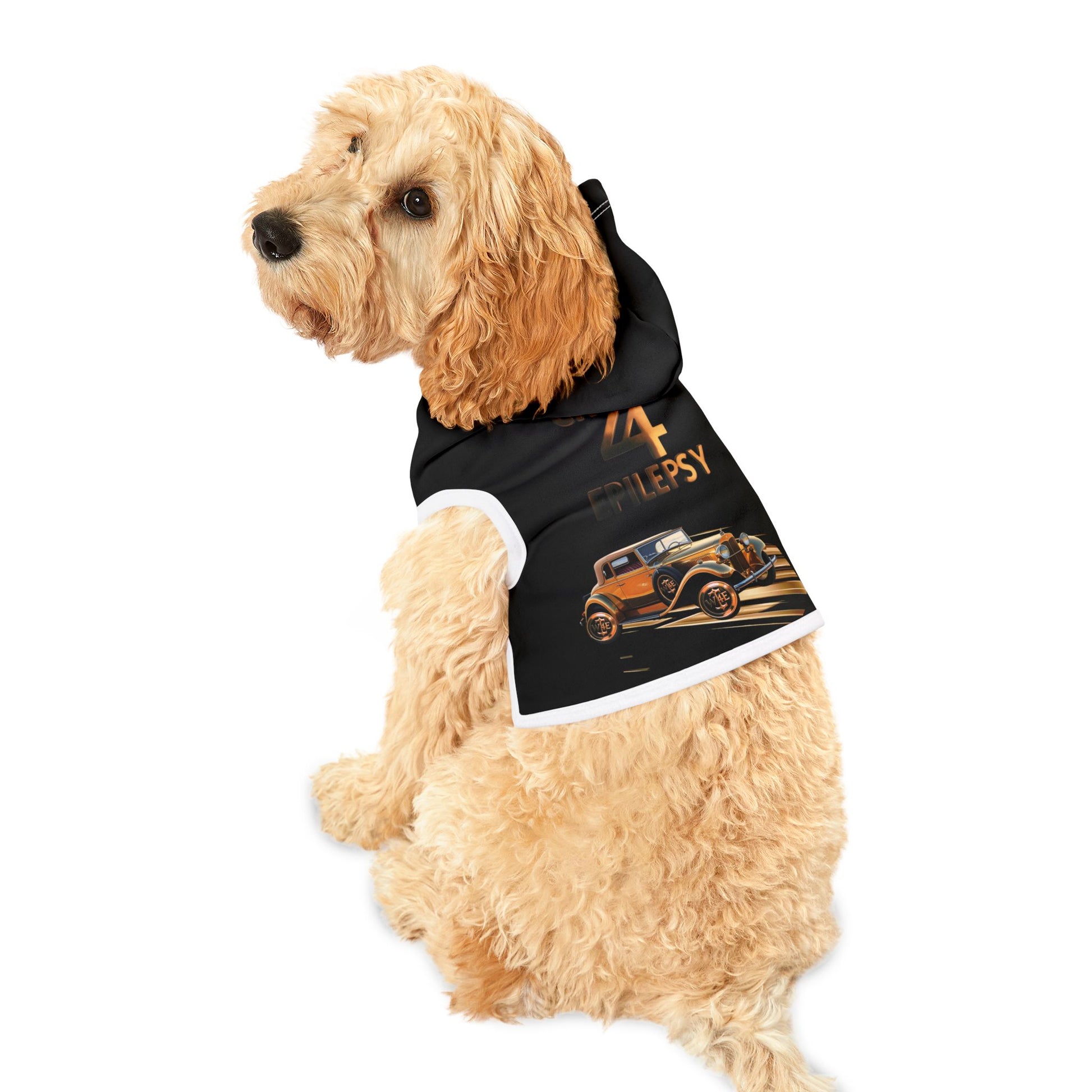 Bronze Cruisin’ 4 Epilepsy Pet Hoodie, Black