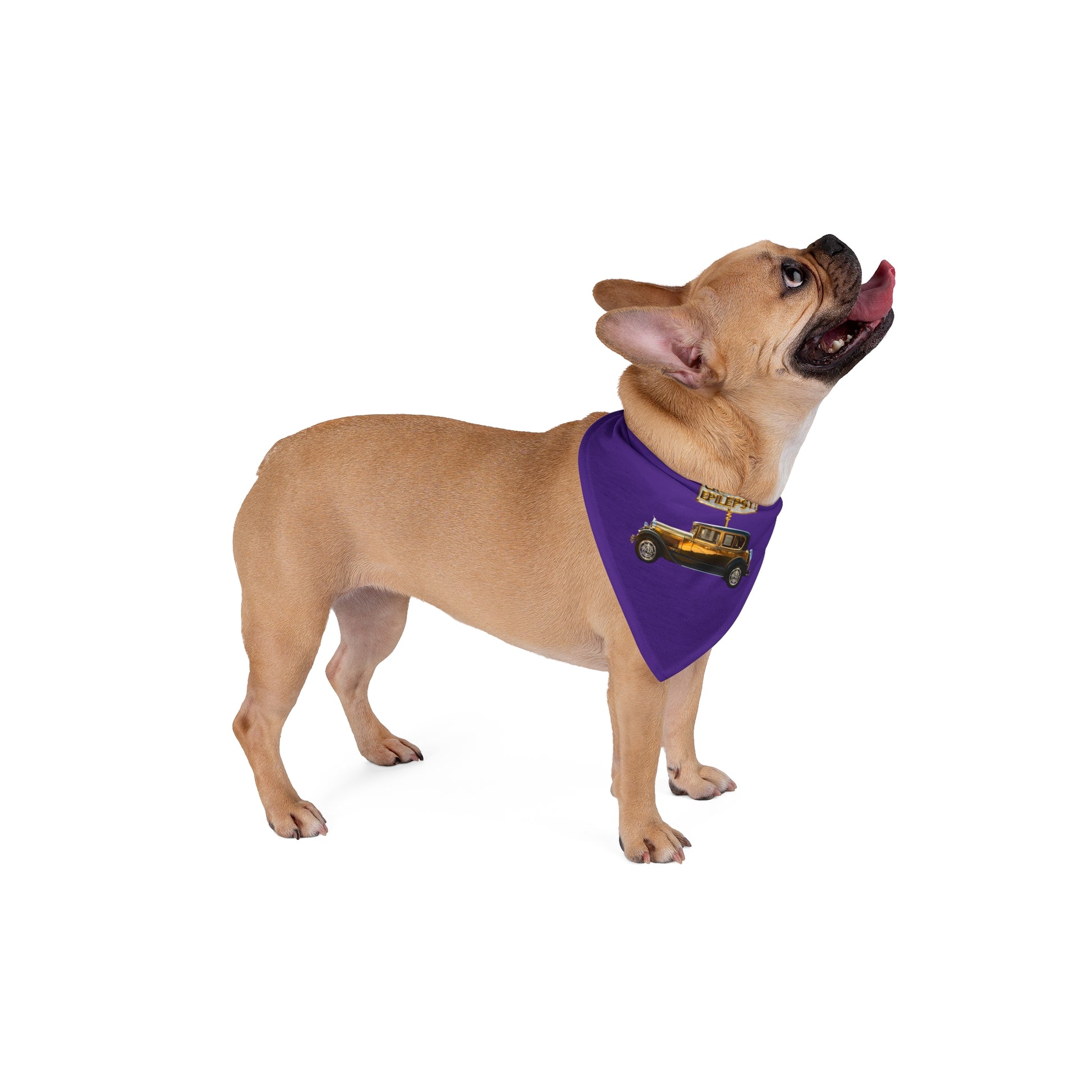 Gold Vintage Car Cruisin' 4 Epilepsy Pet Bandana, Purple
