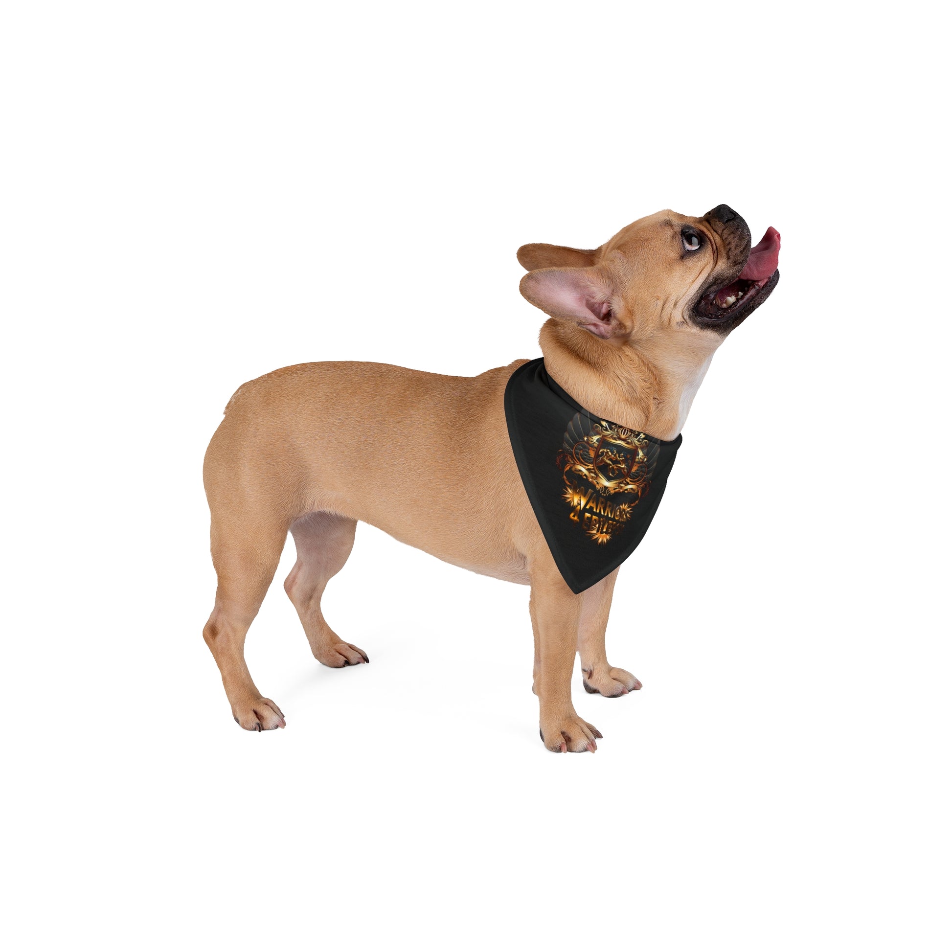 Warriors 4 Epilepsy Pet Bandana, Black