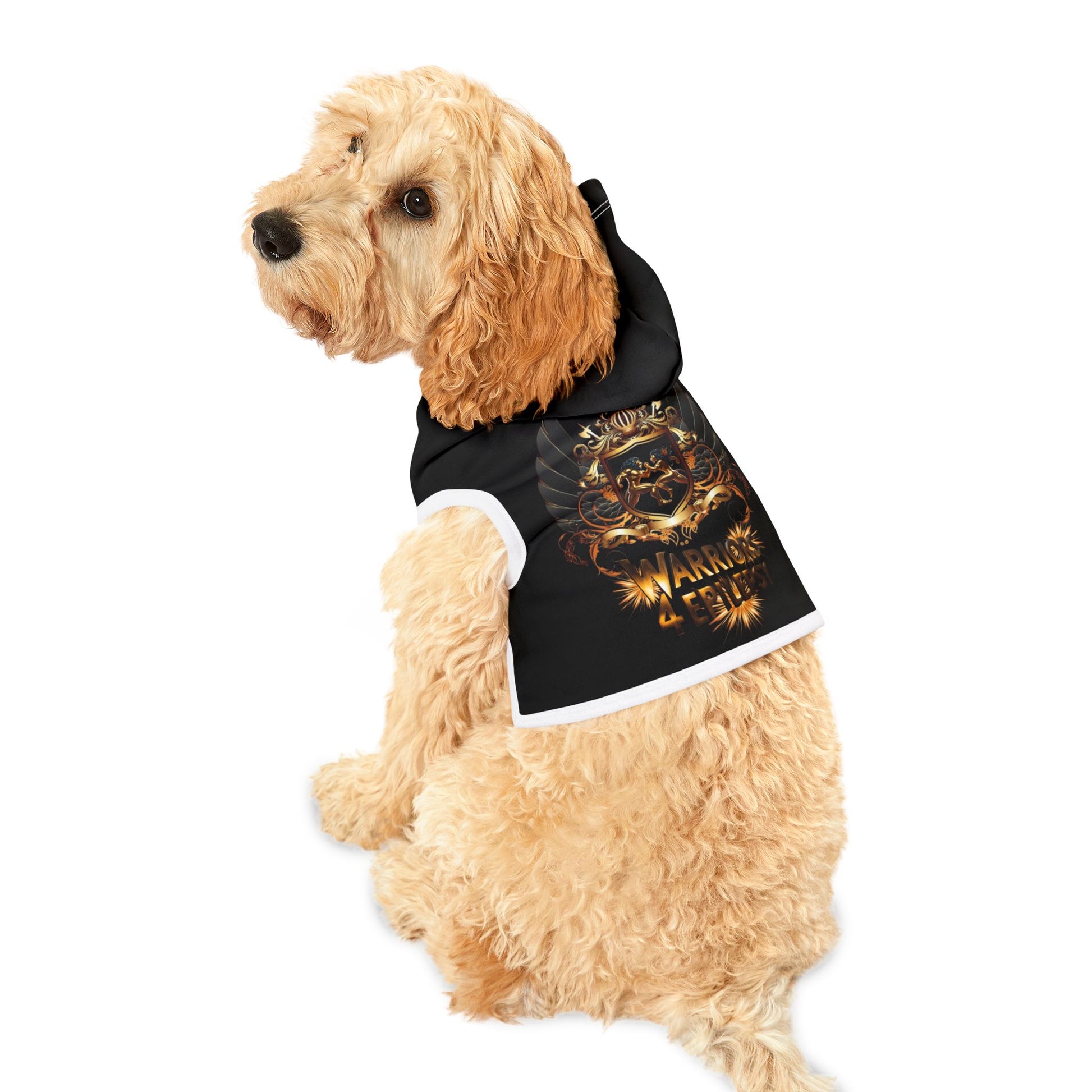 Warriors 4 Epilepsy Pet Hoodie, Black