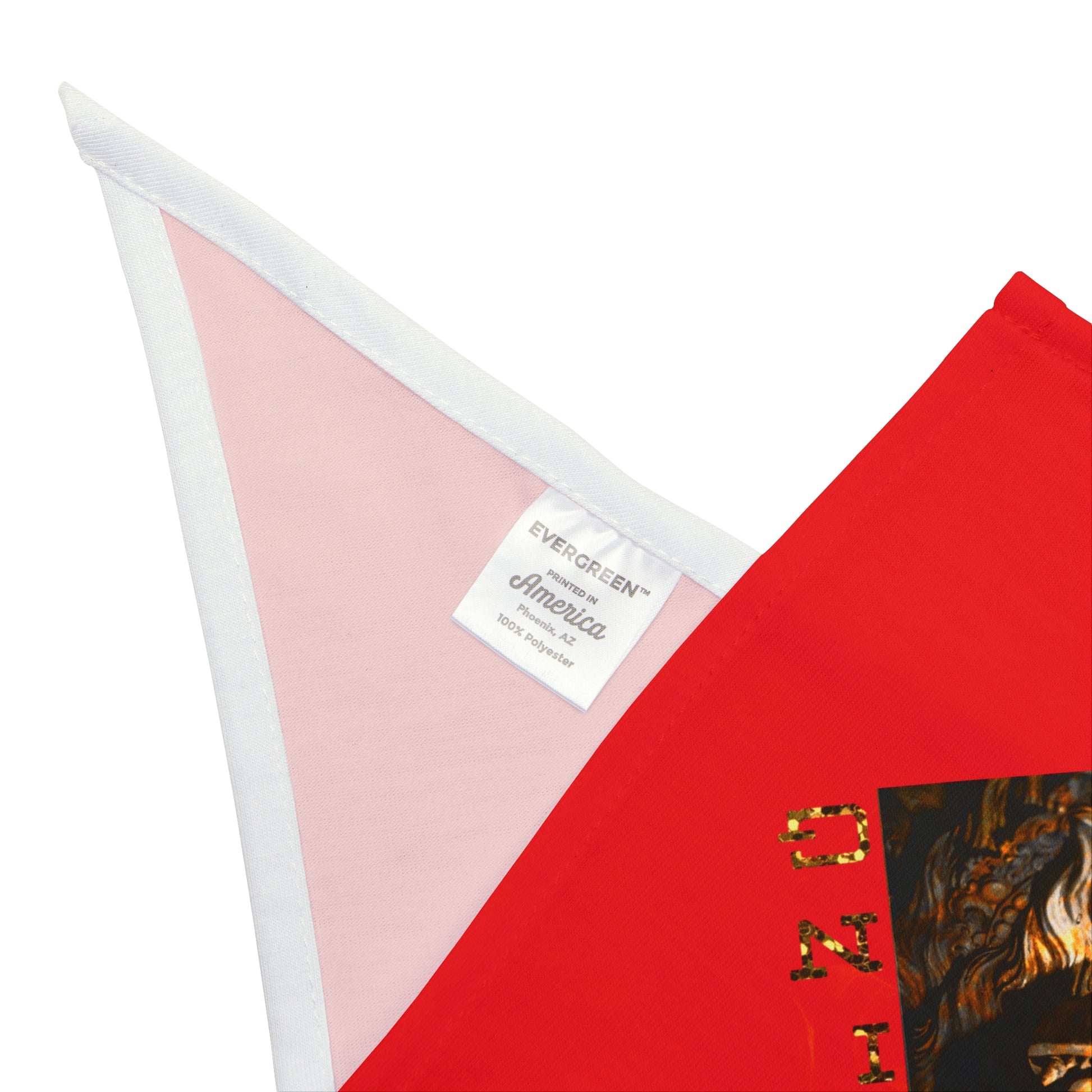 I am King Pet Bandana, Red
