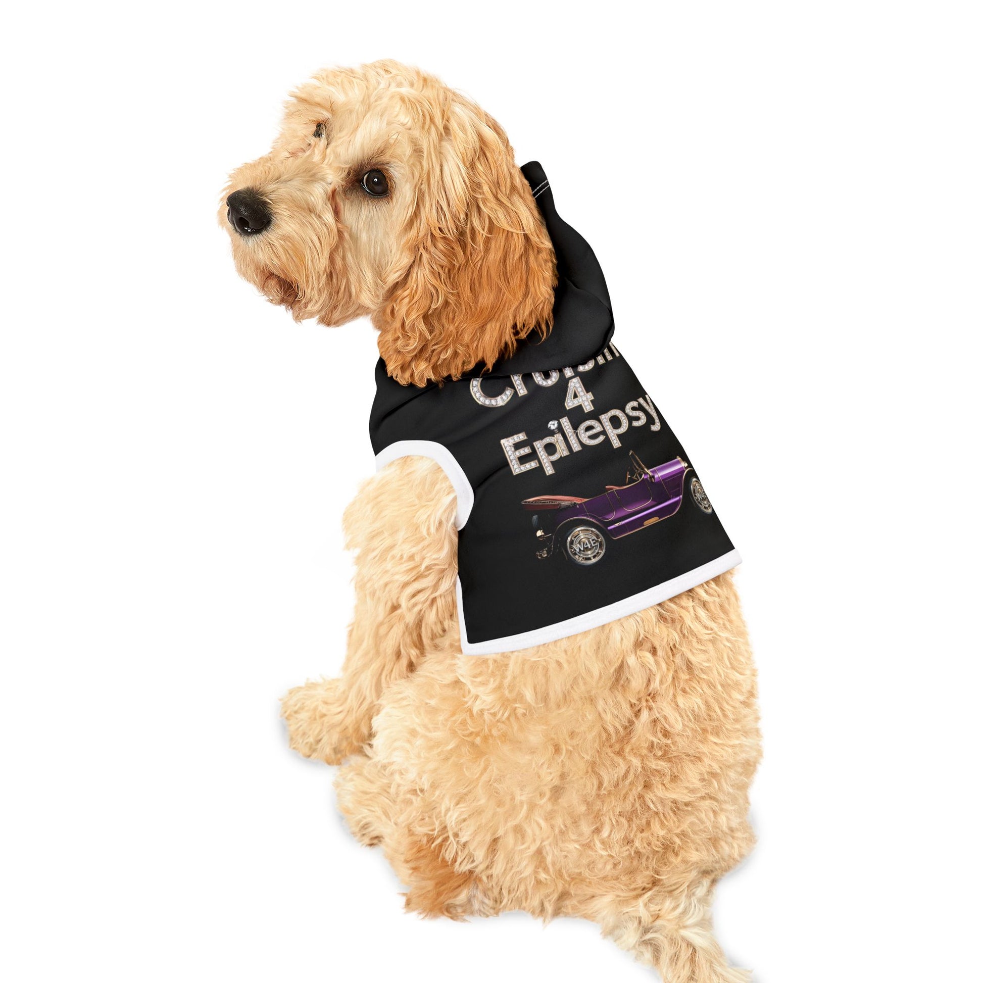 Bling Cruisin’ 4 Epilepsy Black Pet Hoodie